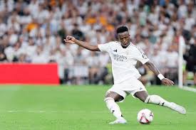 雪覆盖的土 雪覆盖的土